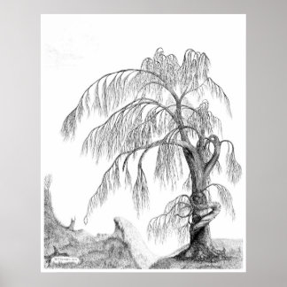 Póster "Mãe Natureza", por Jeff Camden