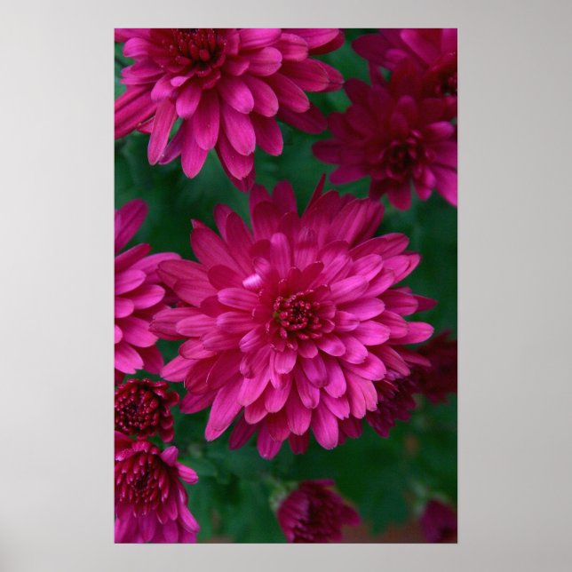 Póster Mãe quente! (Frente)