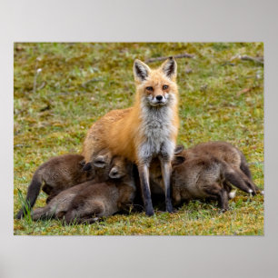 Poster Mãe, Seja Como