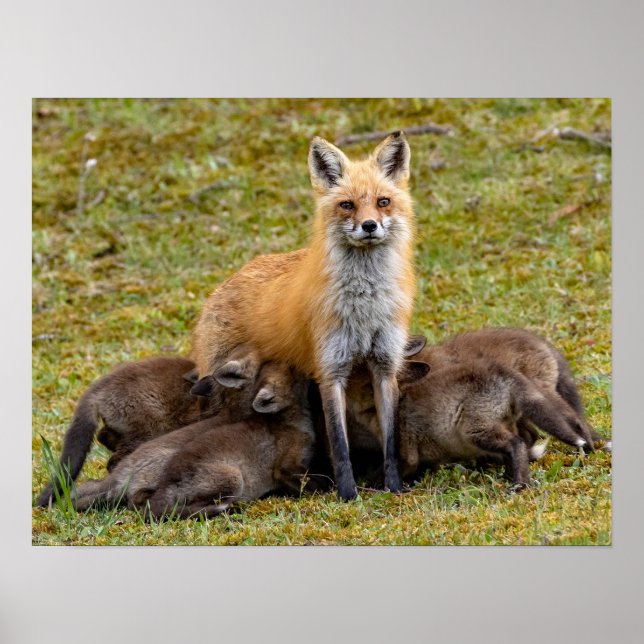 Poster Mãe, Seja Como (Frente)