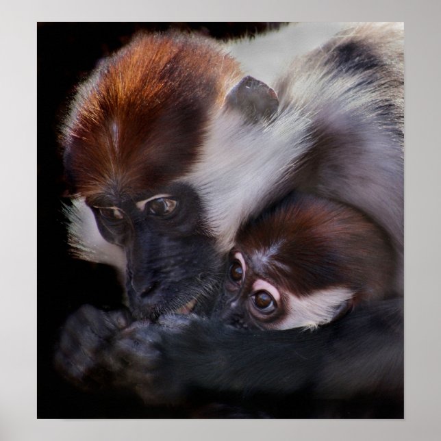 Póster Mães amam (Frente)