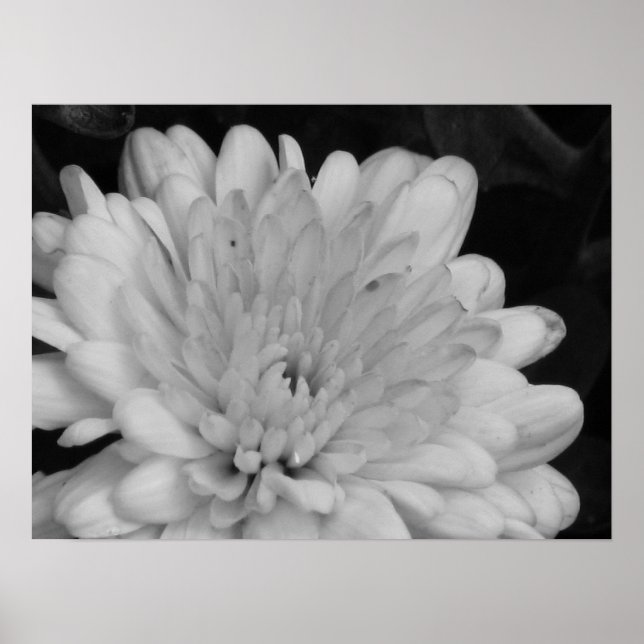 Poster Mães amarelas (Frente)