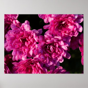 Poster Mães de Outono Rosa