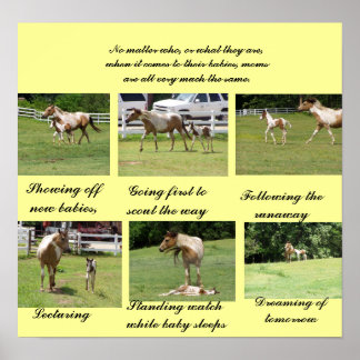 Poster Mães e bebês