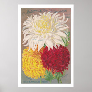 Póster Mães magníficas do vintage