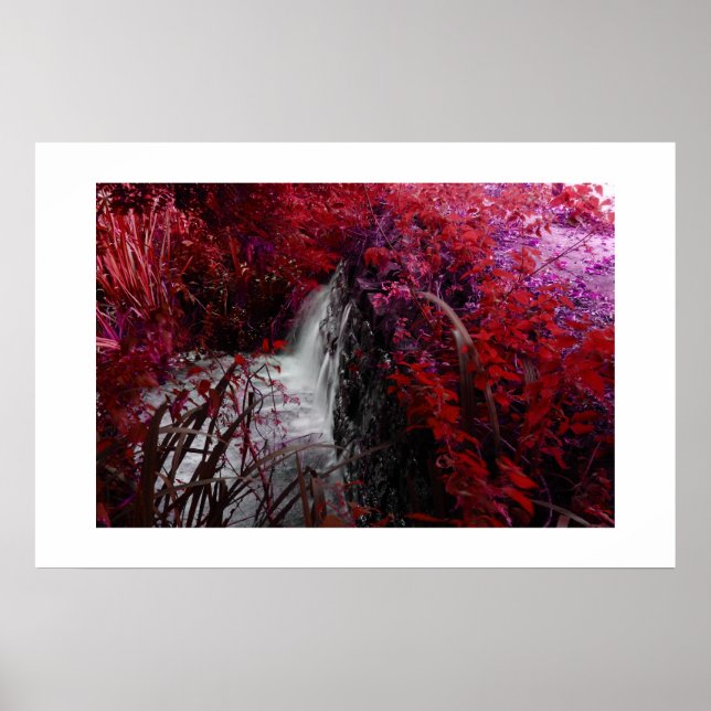 Póster Magenta (Frente)