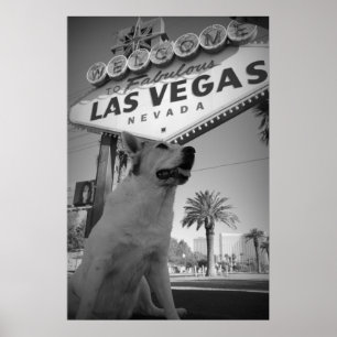 Poster Maggie - sinal de Las Vegas
