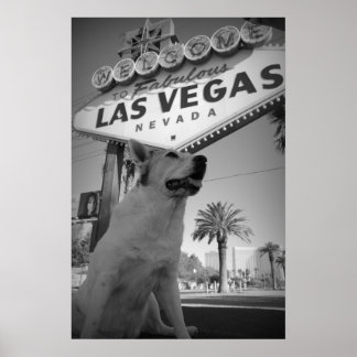Poster Maggie - Sinal de Las Vegas