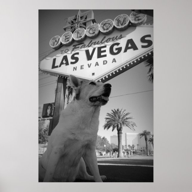 Poster Maggie - Sinal de Las Vegas (Frente)