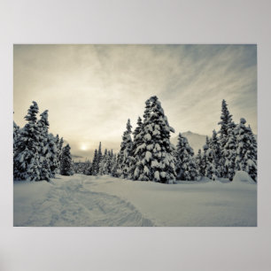 Póster Magia de inverno