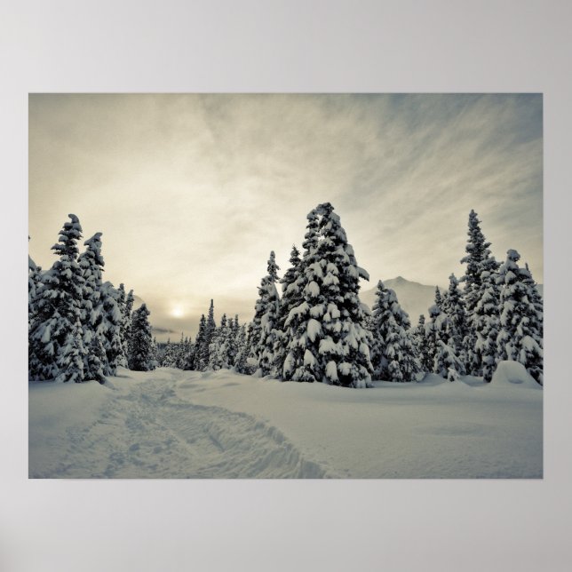 Póster Magia de inverno (Frente)