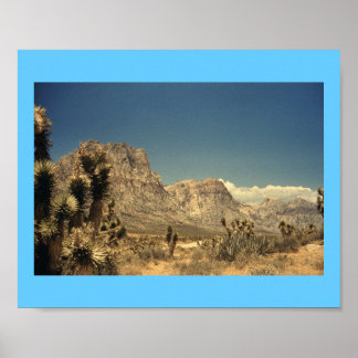 Poster Magia do Deserto