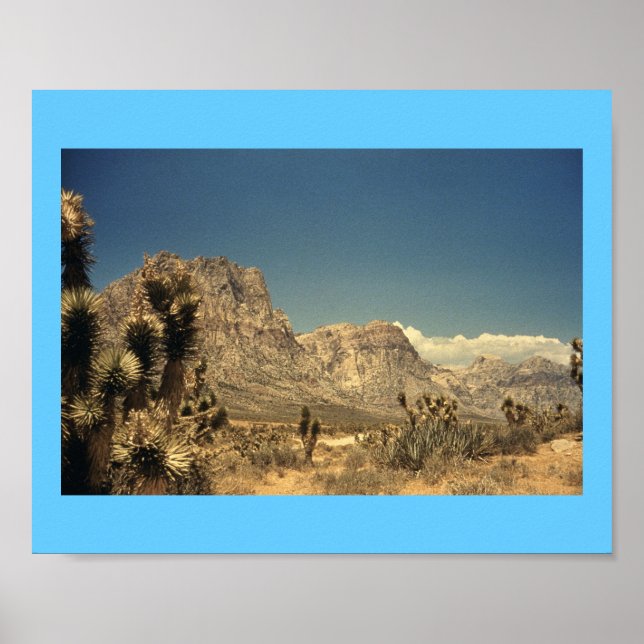 Poster Magia do Deserto (Frente)