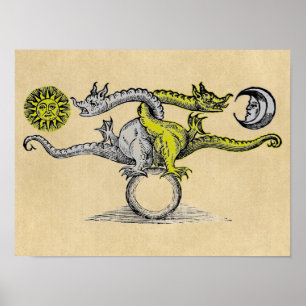 Póster Magic Gold & Silver Dragons