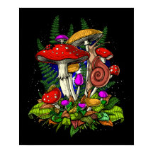 Magic Mushroom Fungi
