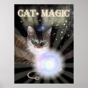 Póster Mágica do gato