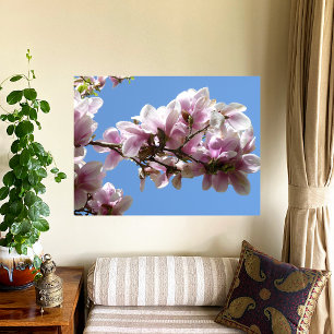 Póster Magnolia Blossom