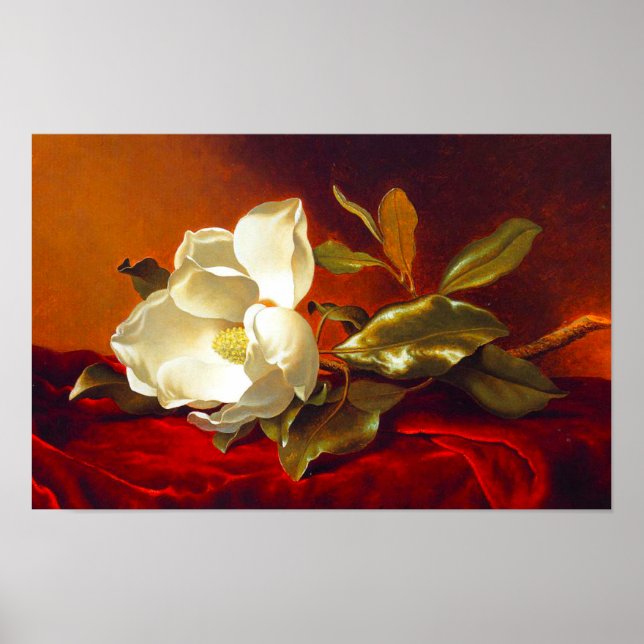 Poster Magnolia em Red Velvet Martin Johnson Heade (Frente)