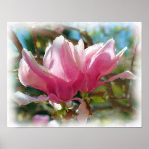 Póster Magnolia Rosa Blossomo Pintura Fotográfica Flor