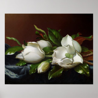 Poster Magnólias em Azul Claro por Martin Johnson Heade
