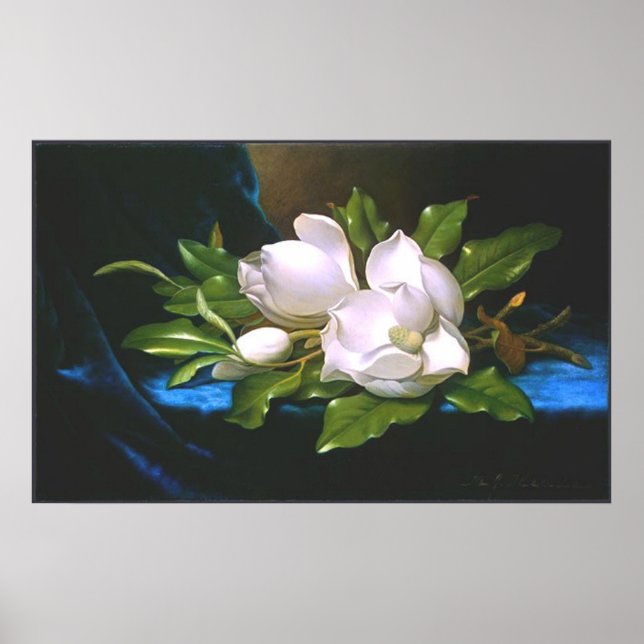 Poster Magnolias no Veludo Azul (Frente)