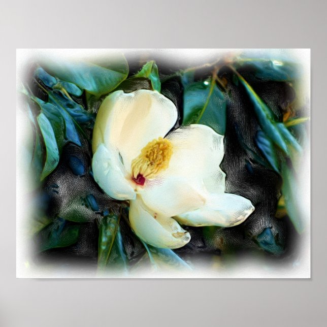 Poster Magnoly Blossom Oil Painting Digital Art (Frente)