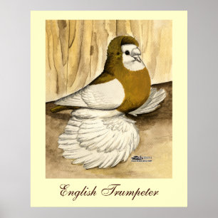 Poster Magpie Amarelo Trompetista Inglês