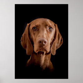 Poster Magyar Vizsla verschiedene Größen!