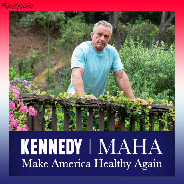 Poster MAHA torna a América saudável novamente 🇺 Kennedy (MAHA Make America Healthy Again RFK USA Downloadable Robert F Kennedy jr Patriotic Bobby Poster 🇺🇸)