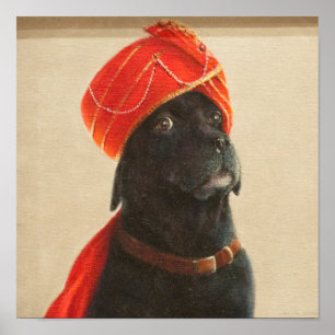 Póster Maharaja Relutante 2010