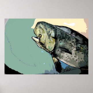 Póster Mahi Mahi