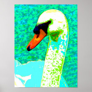 Poster Maiestoso Cabeça Branca de Cisne