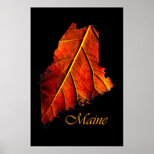 Poster Maine Autumn Orange Leaf Maine Fall Foliage