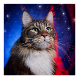 Póster Maine Coon Cat Com Azul Branco Vermelho Aura E Est