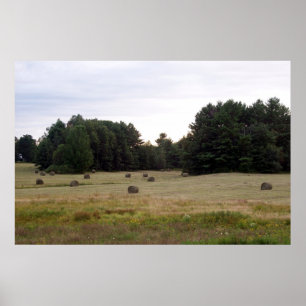 Póster Maine Landscape