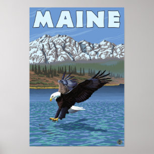 Póster MaineEagle Fishing