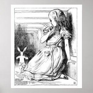 Poster Mais curioso e mais curioso!