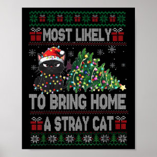 Poster Mais Propenso a Levar para Casa um Gato de Rua Árv