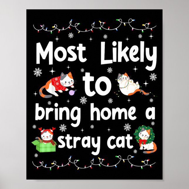 Poster Mais Propenso a Levar para Casa um Gato de Rua que (Frente)
