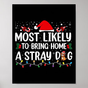 Poster Mais Provável De Levar Para Casa Um Cachorro Aband