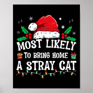 Poster Mais Provável Para Trazer Para Casa Um Gato Estran