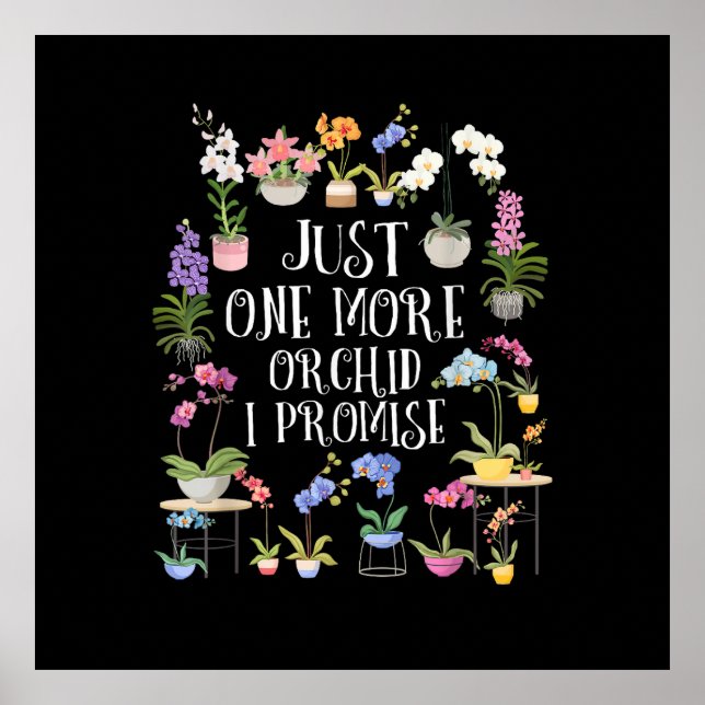 Poster Mais Uma Orquídea Eu Prometo (Frente)