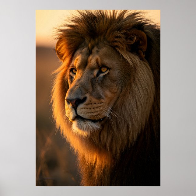 Poster Majestade ouro: O reinado do Rei (Frente)