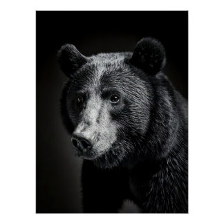 Póster Majestic Bear Portrait - Black and White Wildlife