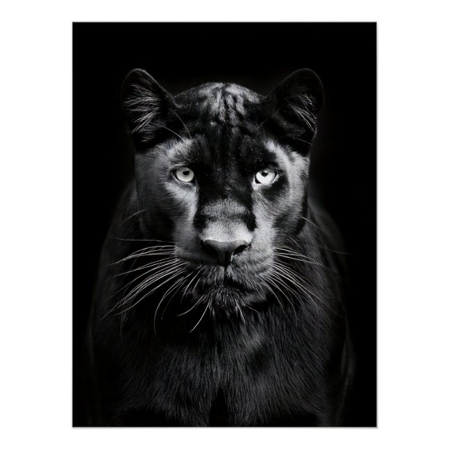 Póster Majestic Black Panther Portrait (Frente)
