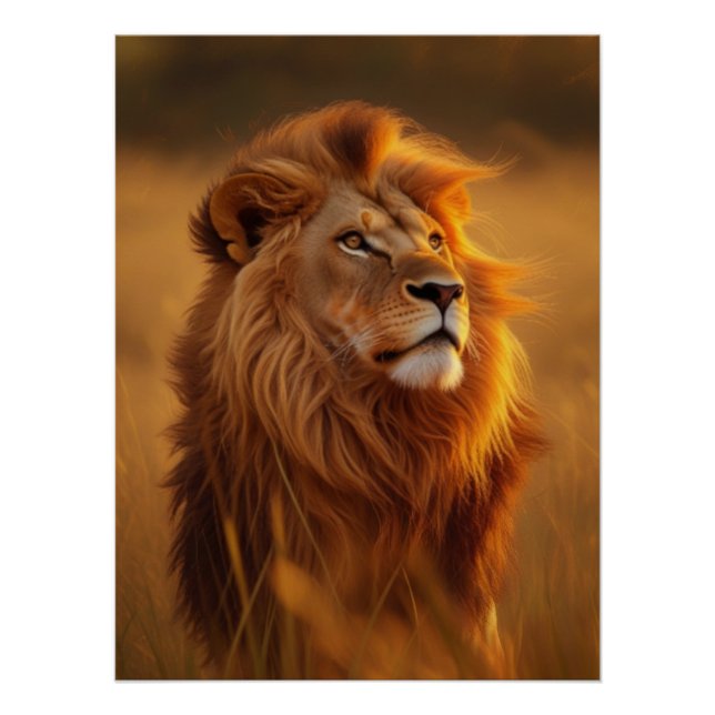Póster Majestic Golden Lion Sunset Glossy Poster (Frente)