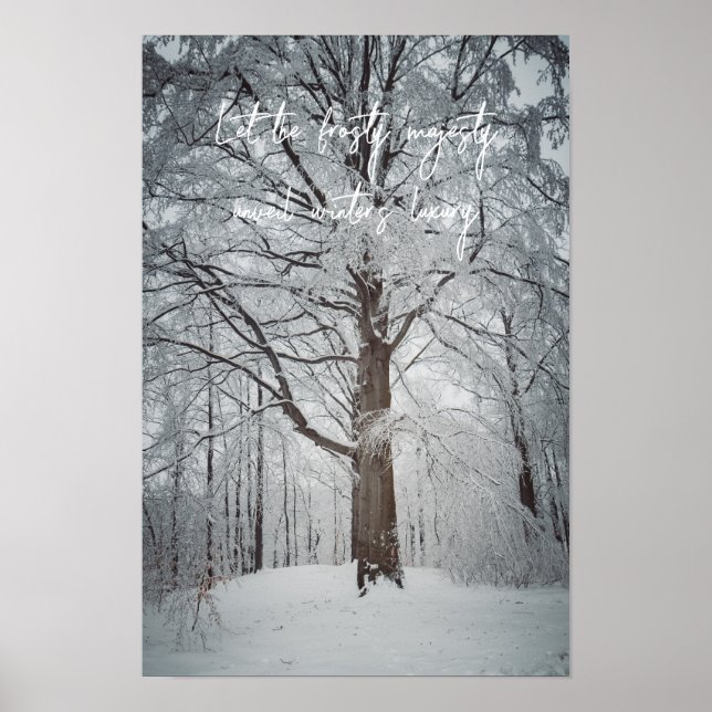 Poster Majestosa faia no bosque invernal (Frente)