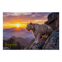 Majestoso pôr do sol do tigre branco
