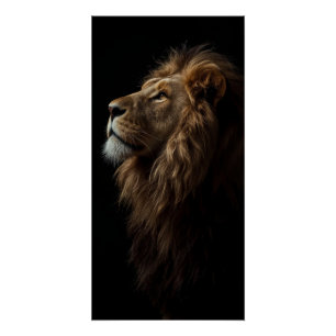 Póster Majestoso Retrato de Leão Força & Confiança Real
