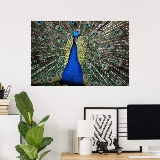 Poster Majexpressa Peacock (Escritório em casa)